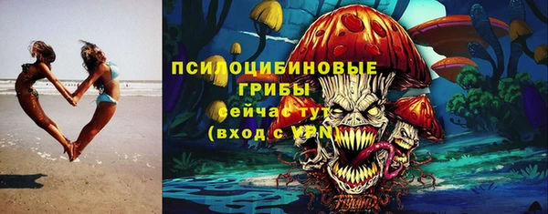 мяу мяу мука Белокуриха