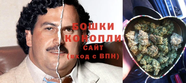 мяу мяу мука Белокуриха